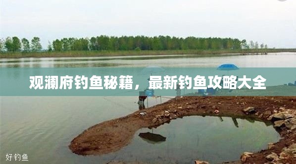 观澜府钓鱼秘籍，最新钓鱼攻略大全