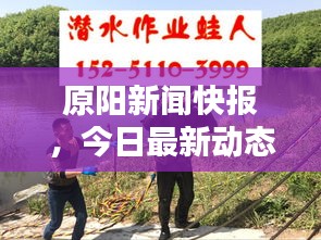 莺声燕语 第2页