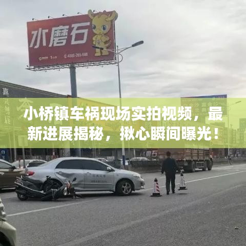 鸢飞戾天 第2页