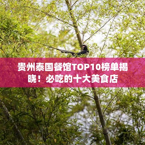 贵州泰国餐馆TOP10榜单揭晓！必吃的十大美食店