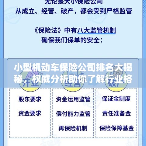 小型机动车保险公司排名大揭秘，权威分析助你了解行业格局！