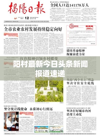 阳村最新今日头条新闻报道速递