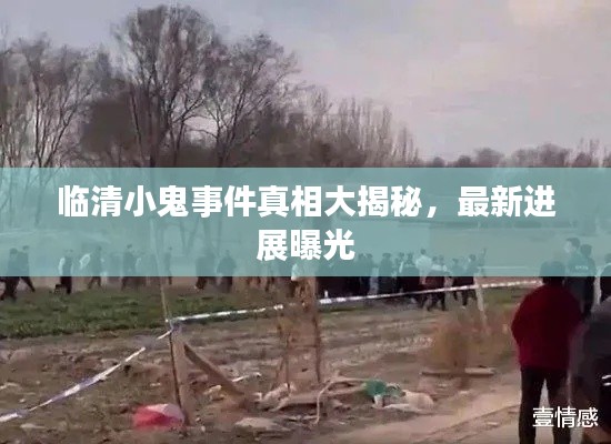 临清小鬼事件真相大揭秘，最新进展曝光