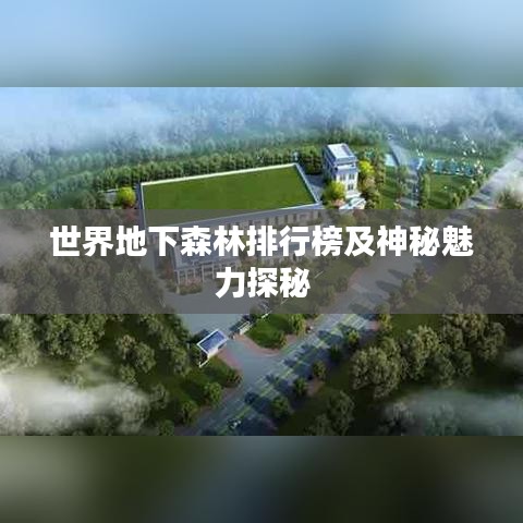 兢兢业业 第2页