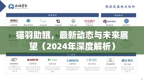羽扇纶巾 第2页