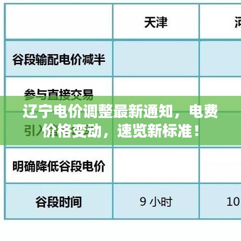 辽宁电价调整最新通知，电费价格变动，速览新标准！