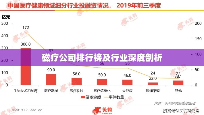 磁疗公司排行榜及行业深度剖析