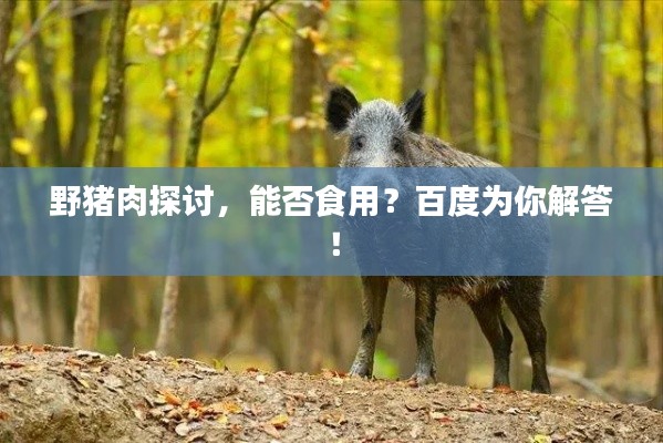 第658页