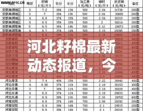 心急如焚 第2页