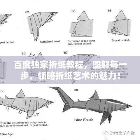第576页