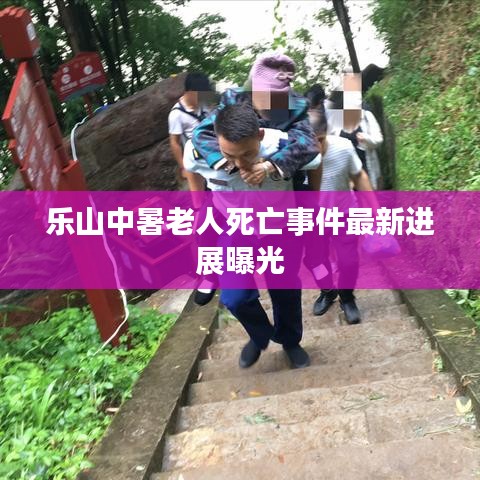 乐山中暑老人死亡事件最新进展曝光