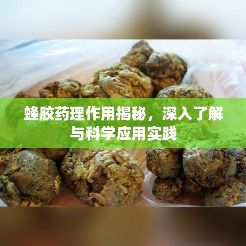 蜂胶药理作用揭秘，深入了解与科学应用实践