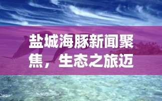 盐城海豚新闻聚焦，生态之旅迈入新篇章