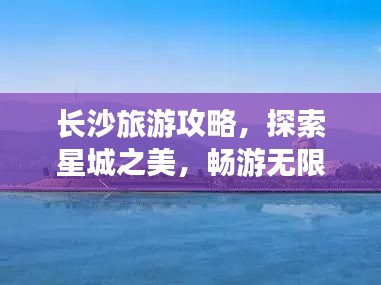 新闻中心 第49页