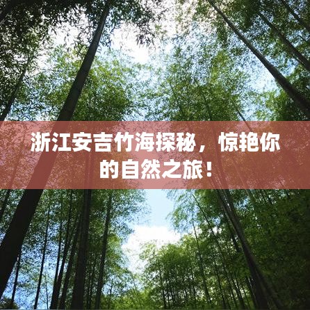 第411页