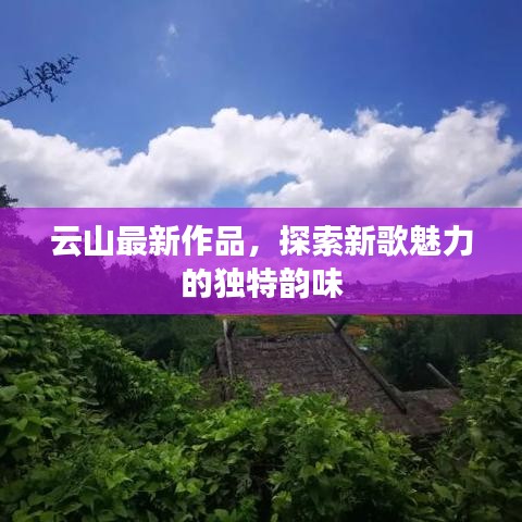 云山最新作品，探索新歌魅力的独特韵味