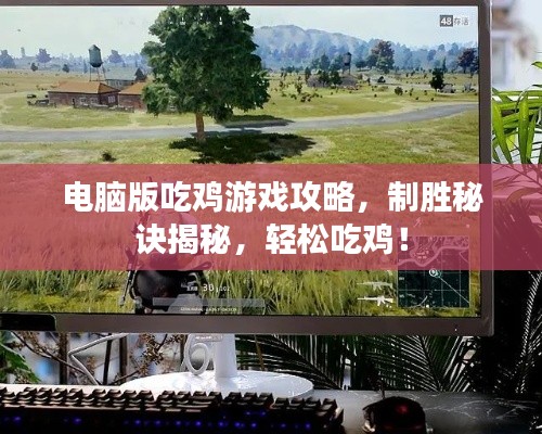 电脑版吃鸡游戏攻略，制胜秘诀揭秘，轻松吃鸡！