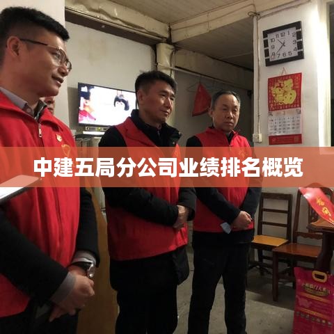 中建五局分公司业绩排名概览