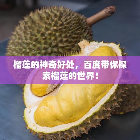 还淳反素