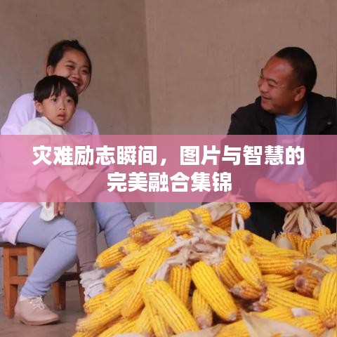 灾难励志瞬间，图片与智慧的完美融合集锦