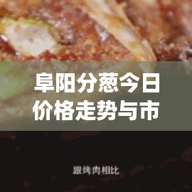 2025年4月 第141页