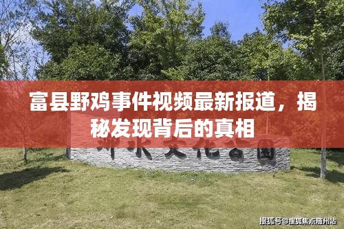 2025年4月 第135页
