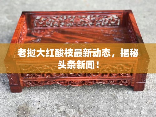 老挝大红酸枝最新动态，揭秘头条新闻！