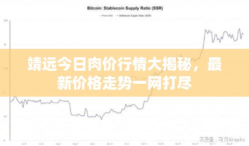 靖远今日肉价行情大揭秘，最新价格走势一网打尽