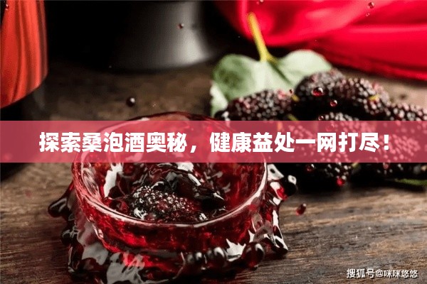 探索桑泡酒奥秘，健康益处一网打尽！