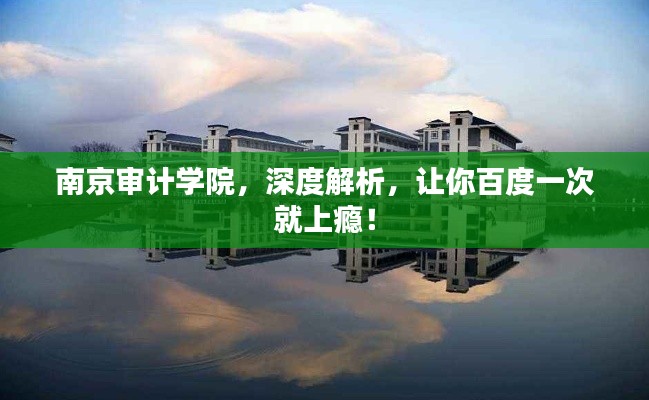 南京审计学院，深度解析，让你百度一次就上瘾！