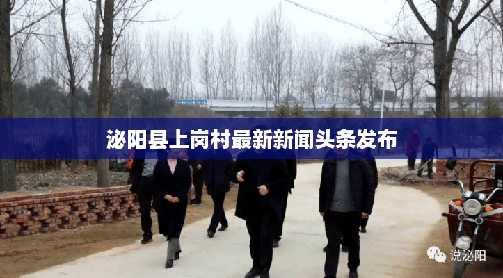 泌阳县上岗村最新新闻头条发布