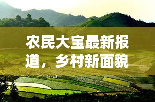 农民大宝最新报道，乡村新面貌与发展动力揭秘