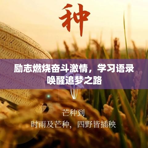 励志燃烧奋斗激情，学习语录唤醒追梦之路
