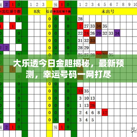 大乐透今日金胆揭秘，最新预测，幸运号码一网打尽