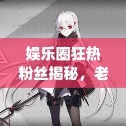 娱乐圈狂热粉丝揭秘，老婆粉背后的故事与数字时代的共享文化冲击