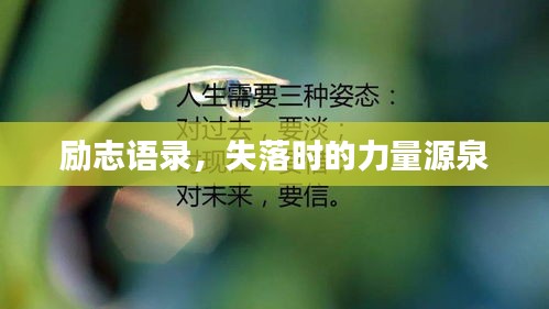 励志语录，失落时的力量源泉