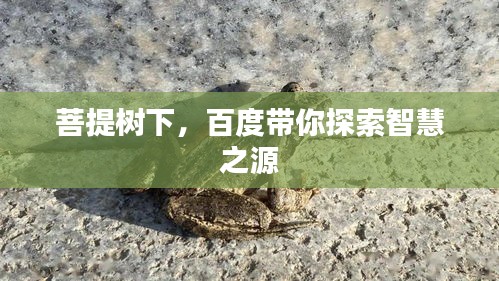 富贵骄人
