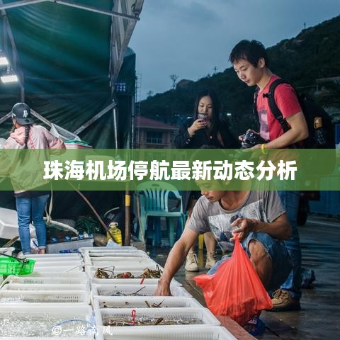 珠海机场停航最新动态分析