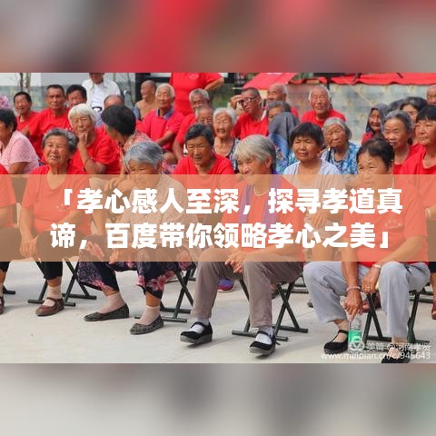 「孝心感人至深，探寻孝道真谛，百度带你领略孝心之美」