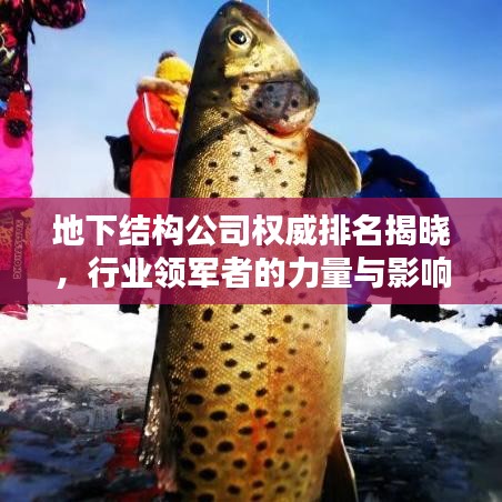 2025年4月 第17页