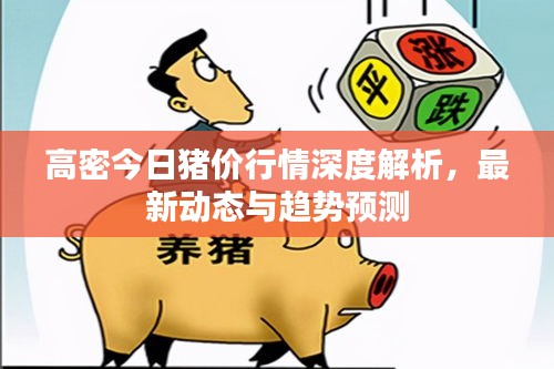 眼空四海