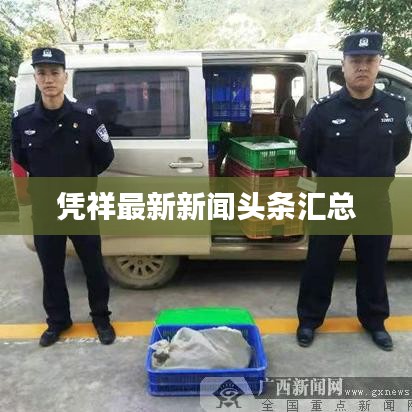 凭祥最新新闻头条汇总