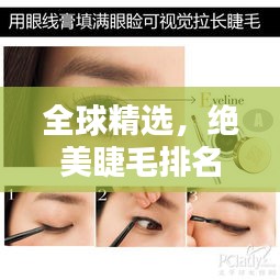 2025年4月 第11页