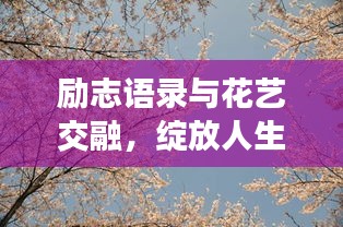 励志语录与花艺交融，绽放人生绚烂之美