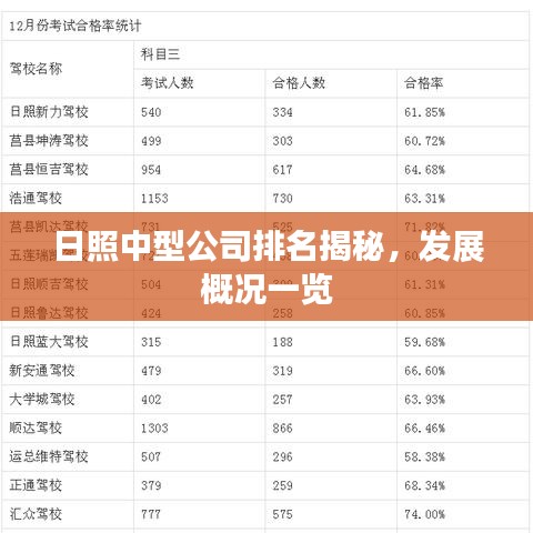 日照中型公司排名揭秘，发展概况一览