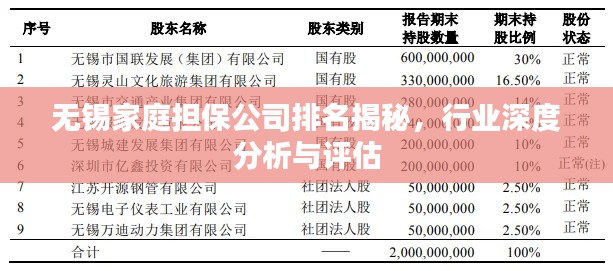 无锡家庭担保公司排名揭秘，行业深度分析与评估