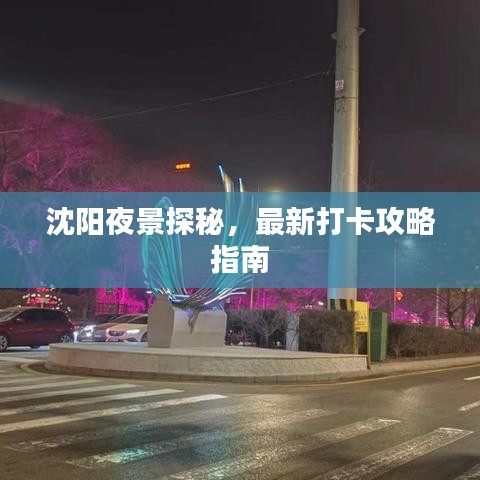 笼中之鸟
