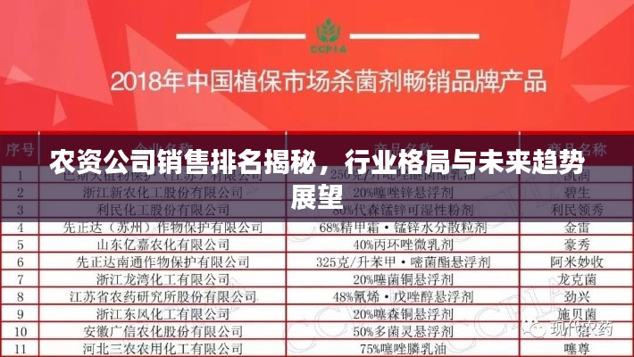 2025年5月2日 第5页