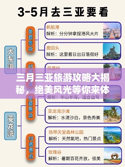 采椽不斫