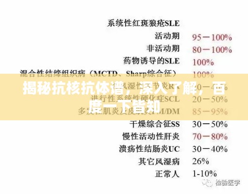 2025年5月6日 第4页